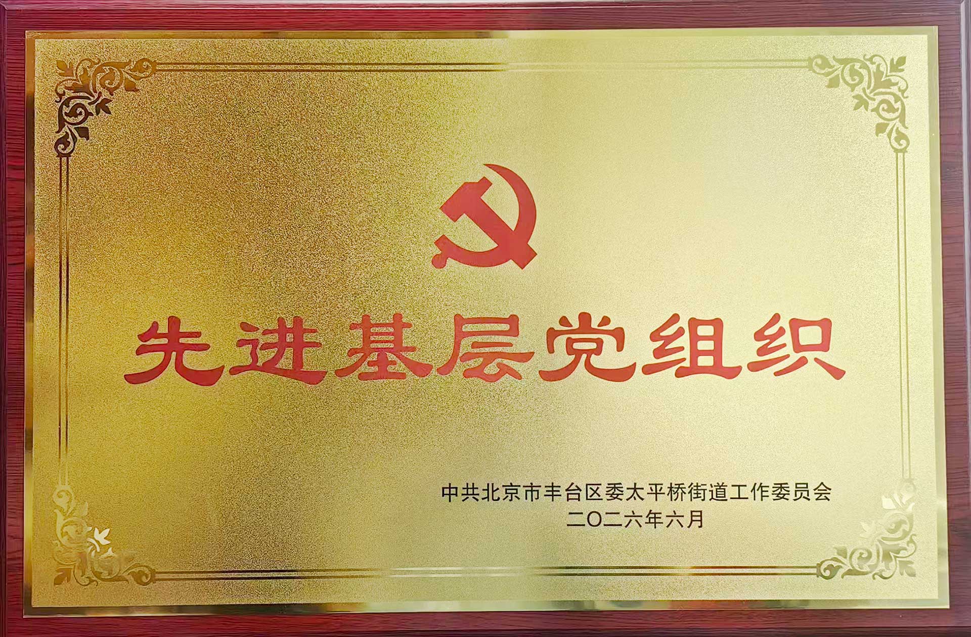 喜报｜党建引领践初心 载誉前行庆华诞——leyu乐鱼(中国)官方网站-leyu.com招标集团党支部获评辖区“优秀基层党组织”